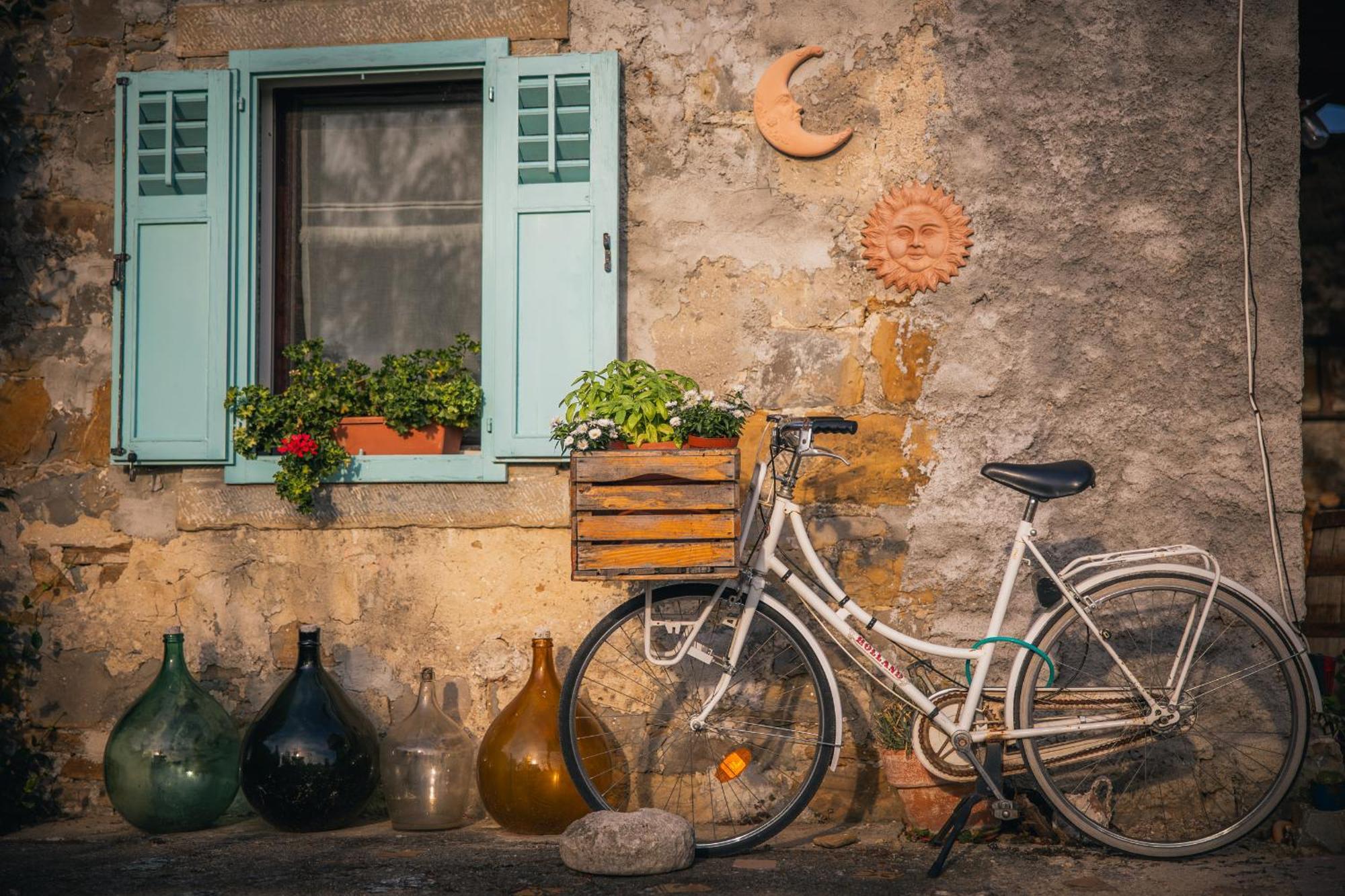 Villa Carla Istrian House, By Istrian Embrace Копер Экстерьер фото
